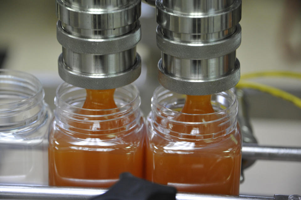 Manuka honey on the production line. (Photo: UMFHA)