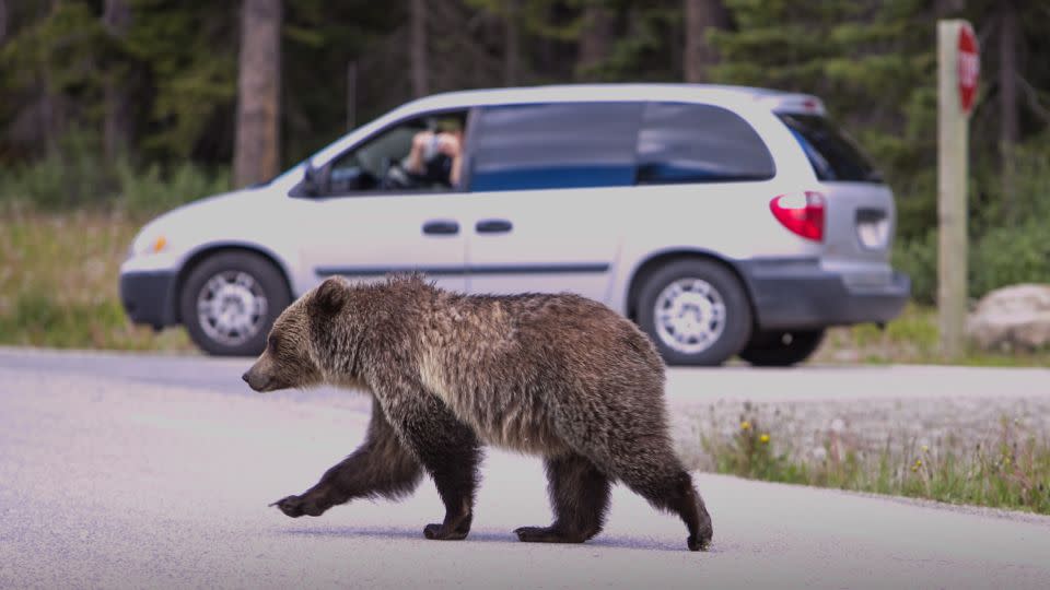 If you're taking your vehicle for an overnight camping trip, don't store food in it.  - George Rose/Getty Images