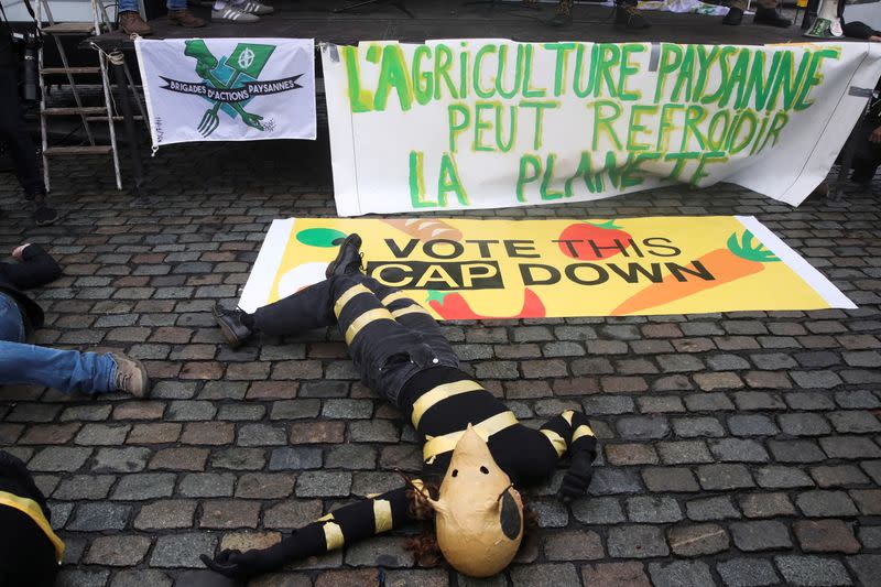 FILE PHOTO: Protest before the vote of the CAP (Common Agricultural Policy in Europe) in Brussels