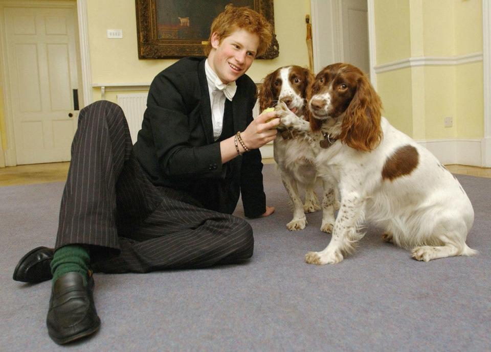 age 18 with dog