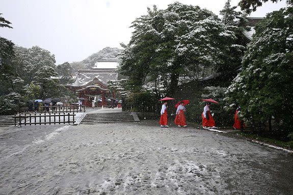 Tsurugaoka Hachimangu Shrine.