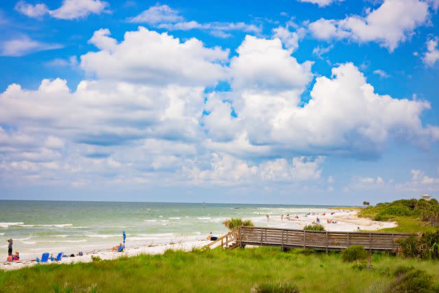 <p>Robbie Caponetto</p> Honeymoon Island State Park is known for its white-sand beaches, nature trails, and wildlife.