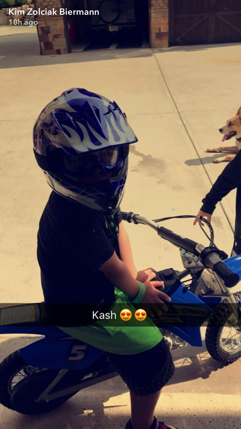 Kim Zolciak-Biermann Surprises Son Kash Puppy for Birthday After Dog Attack