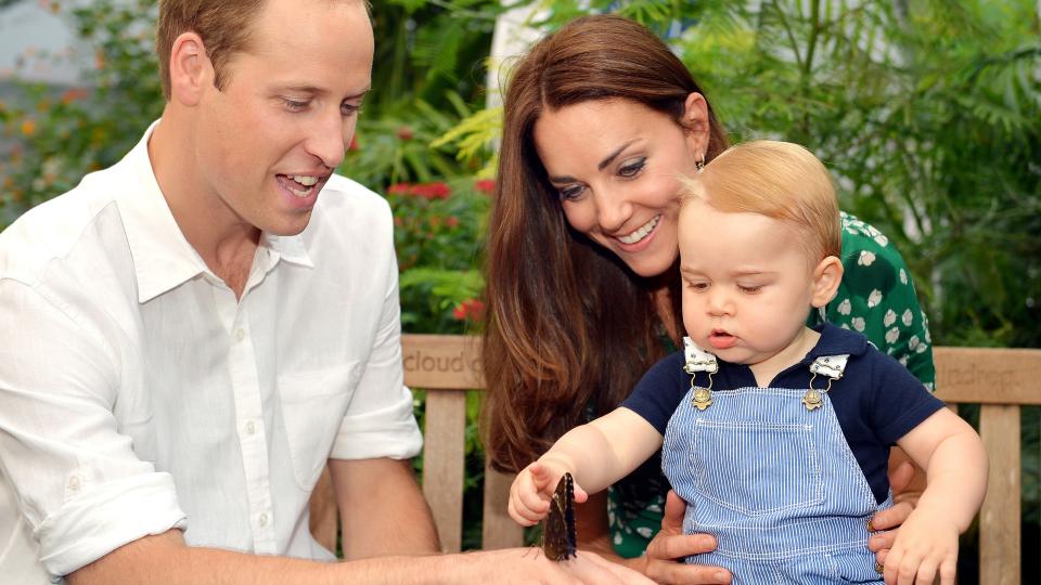 Prince George meets a butterfly