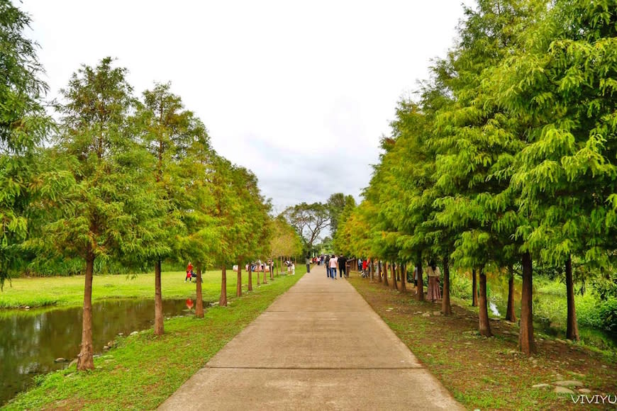 桃園大溪｜月眉人工濕地生態公園