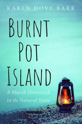 'Burnt Pot Island' can be found wherever books are sold.