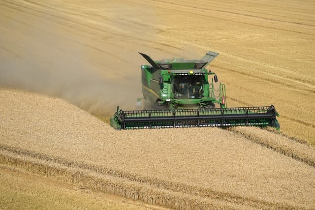 Wheat harvest