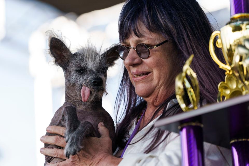 Scooter, a Chinese Crested, owned by Linda Elmquist is awarded first place, on stage during the annual World's Ugliest Dog contest at the Sonoma-Marin Fair in Petaluma, California, on June 23, 2023. Scooter was the winner of the 2023 World's Ugliest Dog Competition.