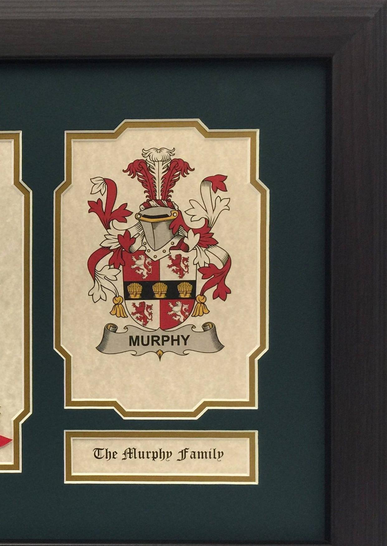Last Name, Coat of Arms, and Family History Document