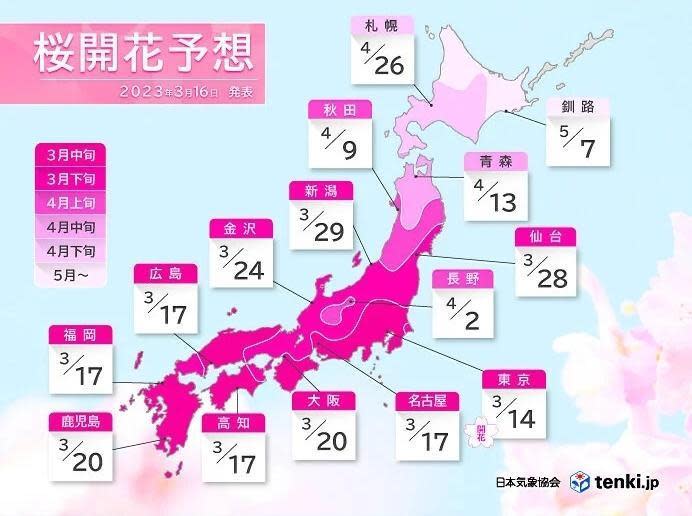 日本今年櫻花早開，關西地區的櫻花季預計從3月20日開始，陸續綻放到3月底，讓很多人的賞櫻計畫大亂。（翻攝自日本氣象協會網站）