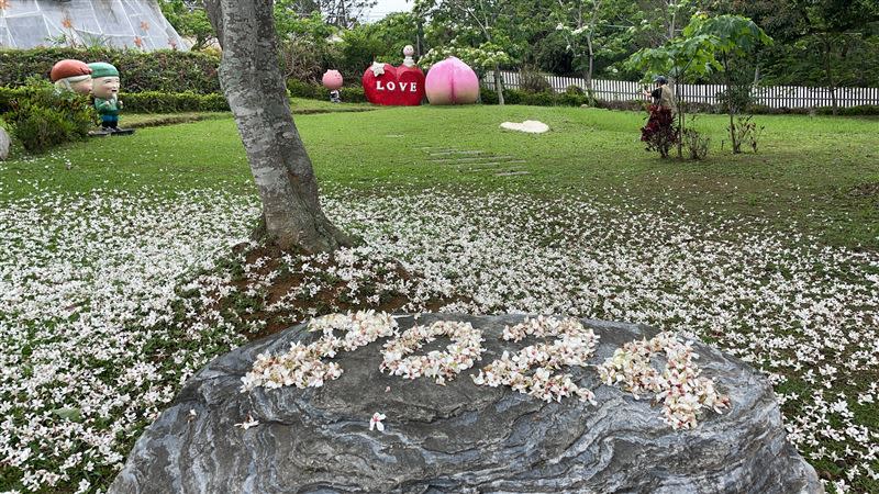 客家大院栽植上萬棵油桐樹，今年花況相當好，呈現「五月雪」夢幻美景。（圖／姜太公道場提供）