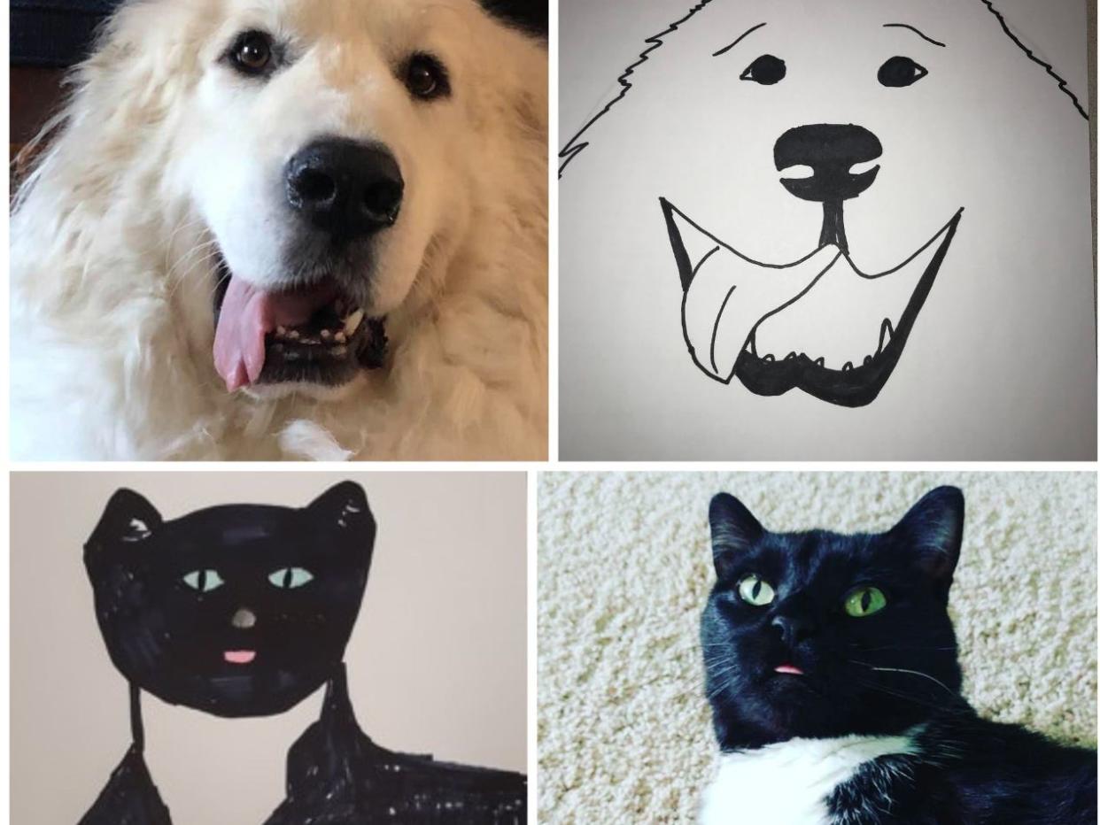 Wisconsin Humane Society pet art