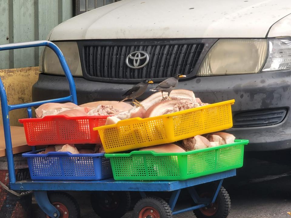 台中某知名控肉飯的生肉「裸放」路邊，吸引鳥兒駐足、覓食。翻攝「爆料公社公開版」臉書