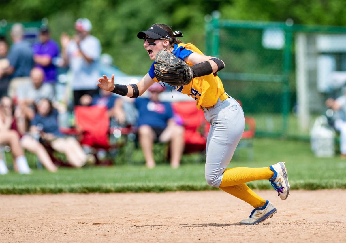 OHSAA softball Gahanna Lincoln, Lancaster win Division I district titles