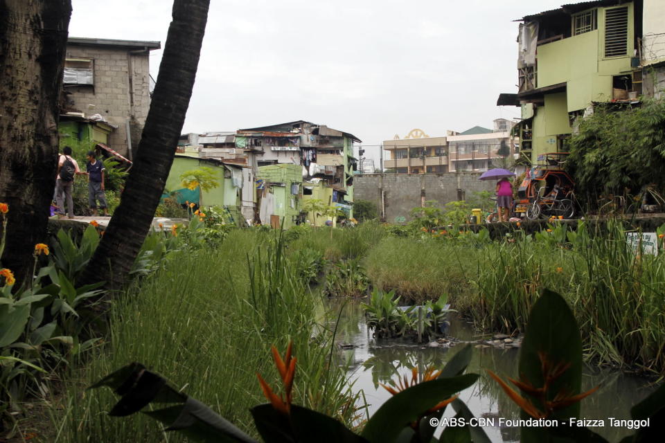 Estero de Paco this month.