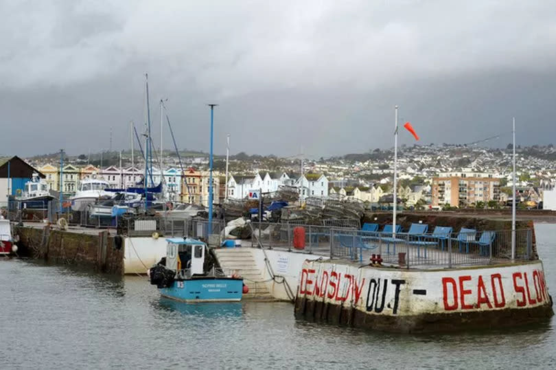 The quaint fishing harbour in Paignton