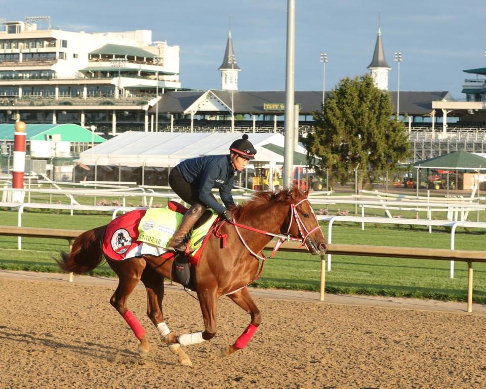 Continuar, a Kentucky Derby hopeful from Japan, has morning-line odds of 50-1.