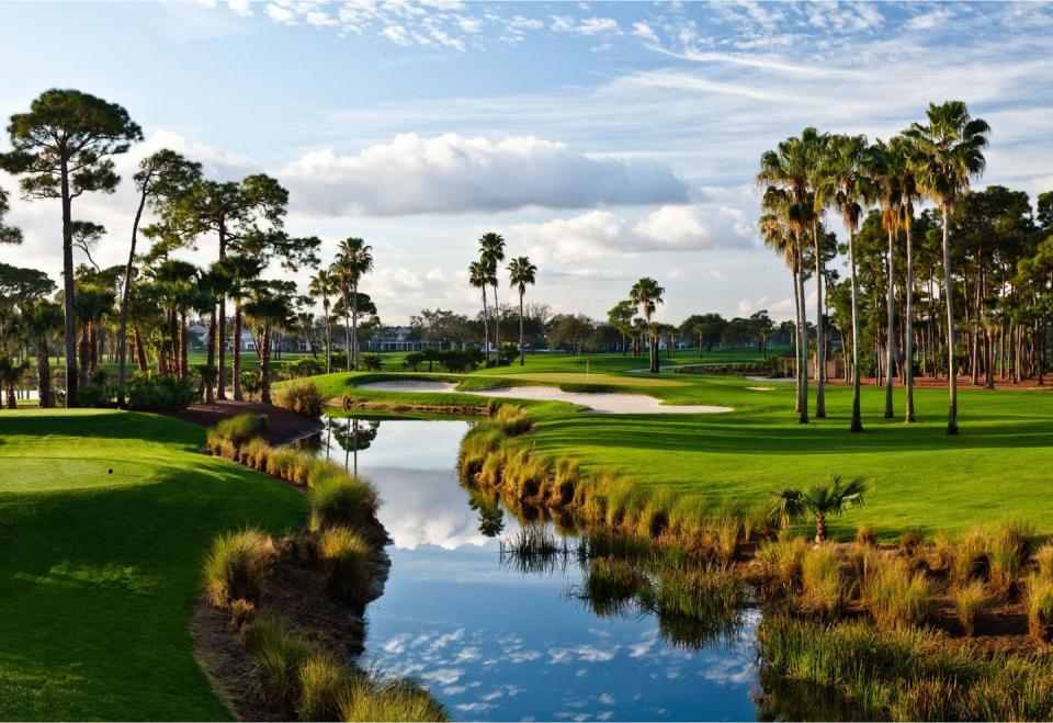 a golf course with palm trees