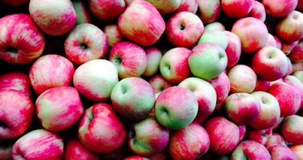 Get out your plaid shirts. Apple-picking season has come early this year. (Elizabeth Hostland - image credit)