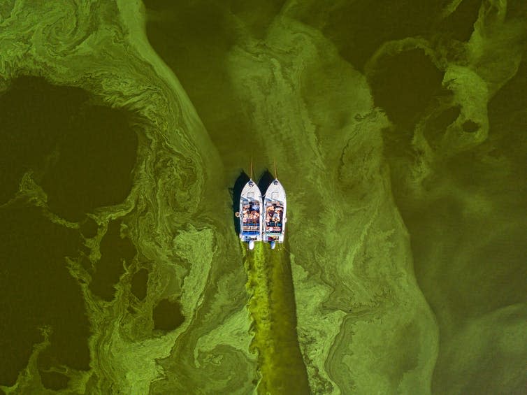 Two small boats on polluted green water.