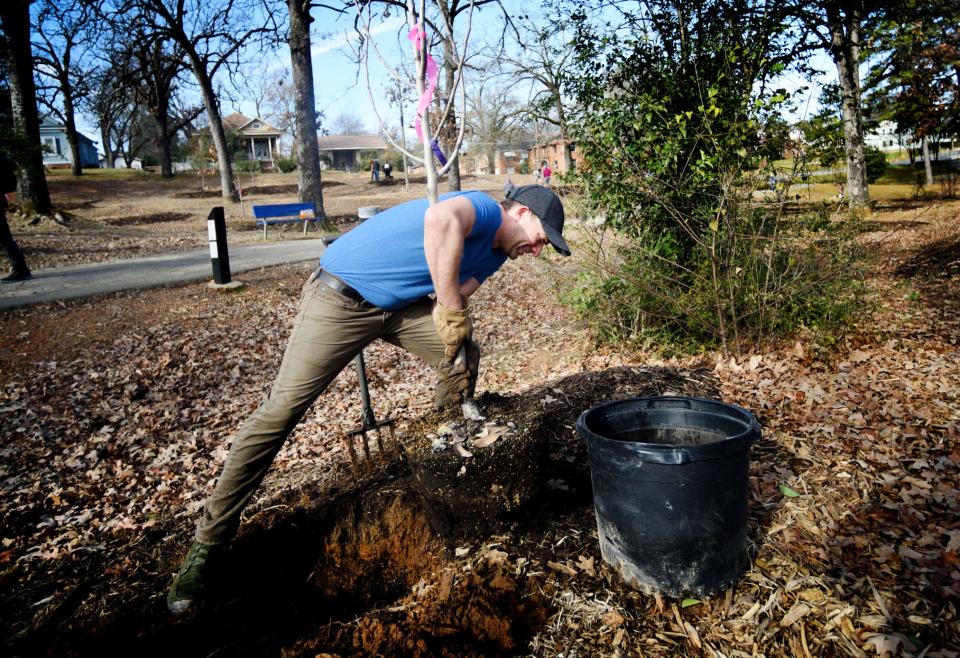 Caddo Commissioner John-Paul Young plants one of the dozens of trees in the environmental effort that he helped organized Saturday, January 13, 2024.