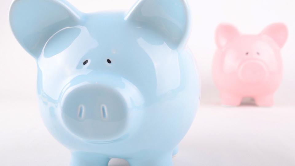 Blue and pink piggy banks, gender pay gap concept. 