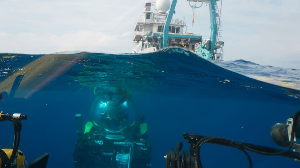 The researchers plan to make a second trip to continue studying biodiversity at the seamount. Photo: WHOI