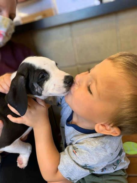 PHOTO: Bentley Boyers, 2, is seen kissing his newly adopted rescue puppy, Lacey, on Sept. 4, 2020 at Jackson County Animal Shelter in Jackson County, Michigan. Both Bentley and Lacey were born with a cleft lip. (Lydia Sattler/Jackson County Animal Shelter)