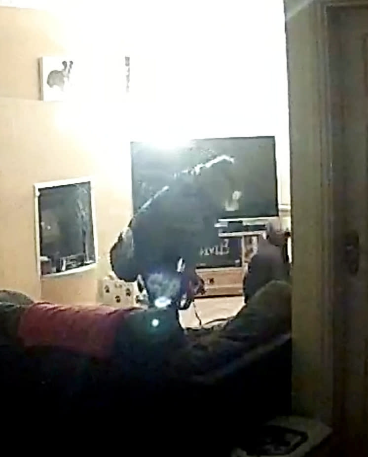 CCTV stills showing Jacqueline Wilkins beating Bella in her owners’ home. (SWNS)