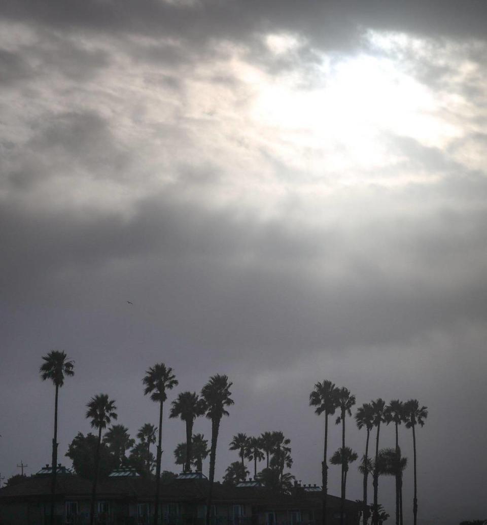 Sun breaks through over palm trees in Pismo Beach during a lull in the rain on Tuesday morning, Jan. 10, 2023, as a series of atmospheric river storms hit the coast.