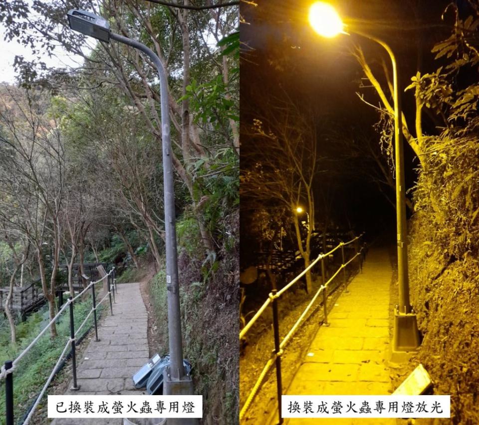 虎山步道螢火蟲生區換裝成螢火蟲專用燈。（北市公園處提供）