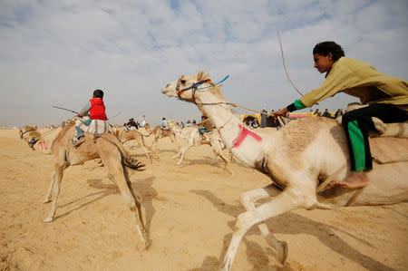 Jockeys, most of whom are children, compete on their mounts during the opening of the International Camel Racing festival at the Sarabium desert in Ismailia, Egypt, March 21, 2017. Picture taken March 21, 2017. REUTERS/Amr Abdallah Dalsh