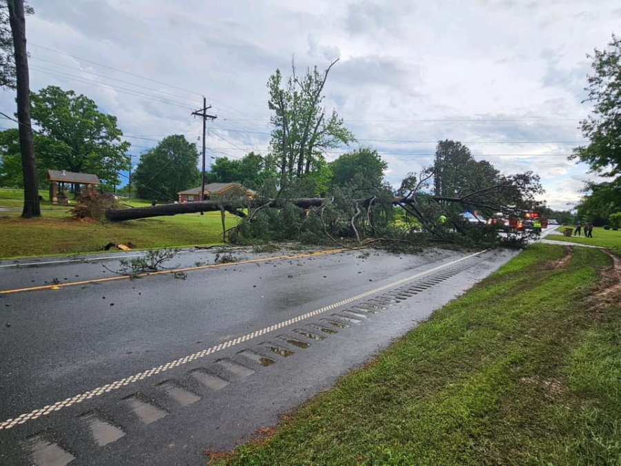 Fallen tree on Highway 43, courtesy of Harrison County Sheriff’s Office.
