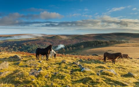 Dartmoor - Credit: Getty