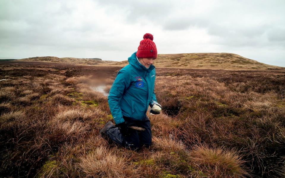 Alice Pearson of The Moors For The Future kneels with a trowel as she plants sphagnum mosses in the High Peak District - Alixandra Fazzina