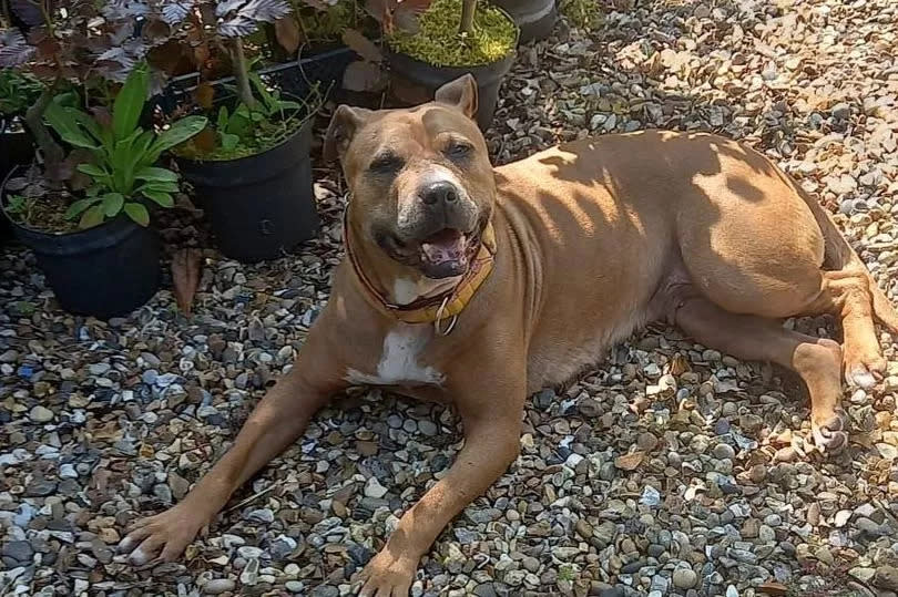 Jane has settled into a foster home where she’s reportedly 'loving life'