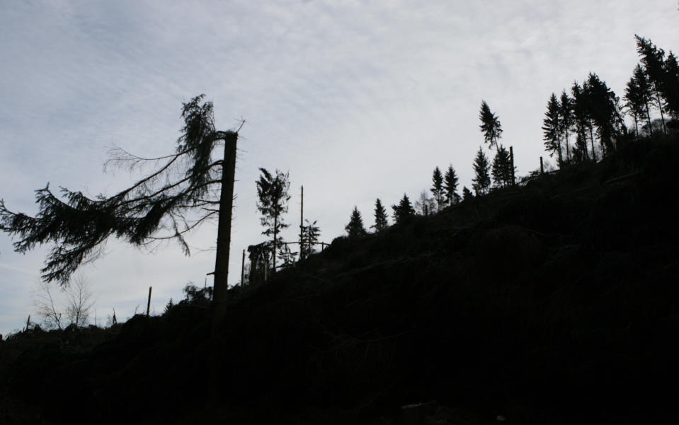Sturmschäden an einem Wald in Nordrhein-Westfalen nach Orkan Kyrill im Januar 2007 (Bild: Reuters/Ina Fassbender)
