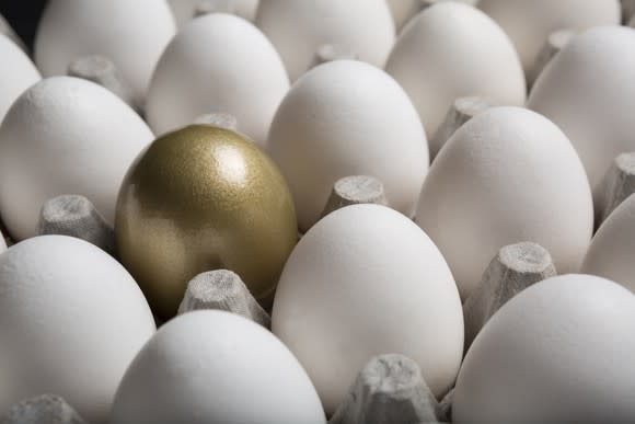 One golden egg in a carton of white eggs.