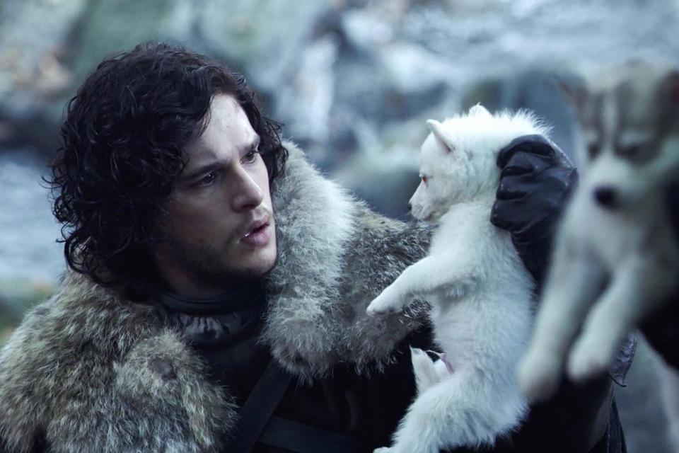 Game of Thrones Jon Snow and his direwolf Ghost