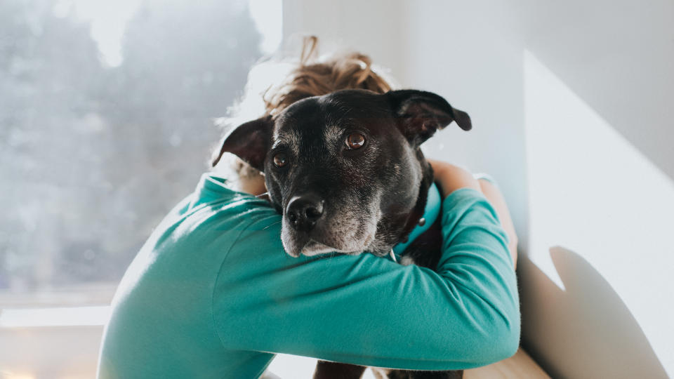 Boy and dog embracing