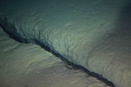 The 2011 Japan earthquake created large cracks in the seafloor off Japan.