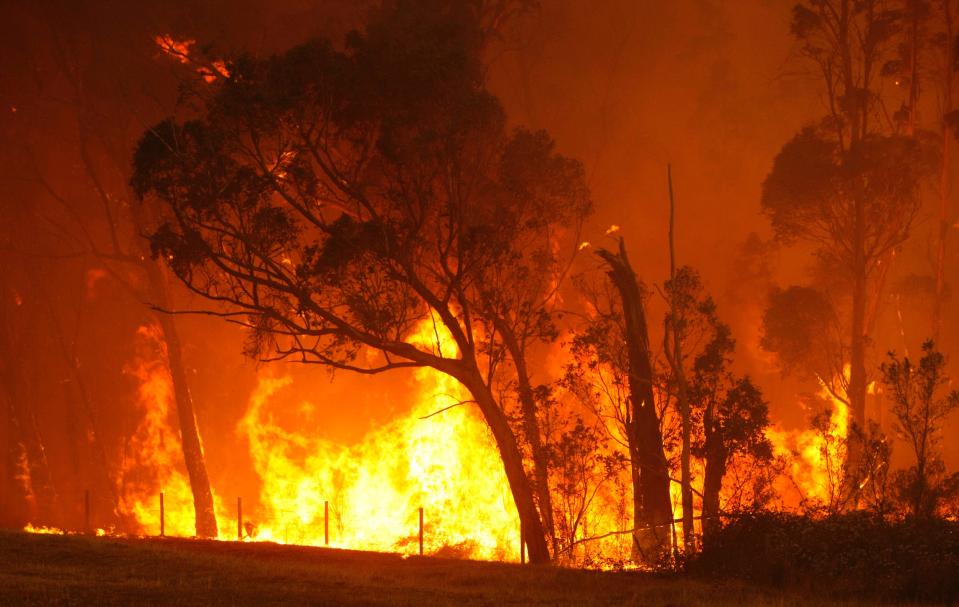 Australian bushfire near Labertouche