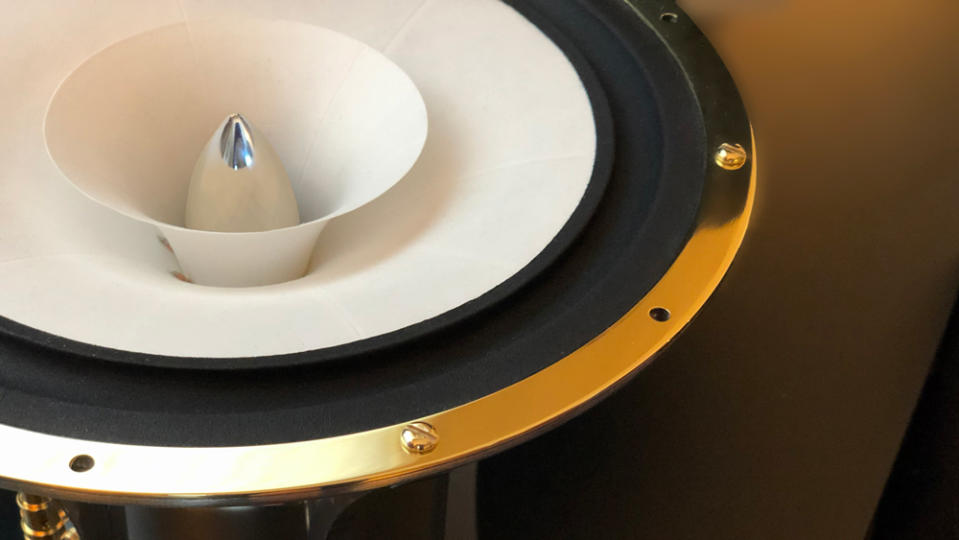 A close-up of the full-range driver in Songer Audio's loudspeakers.