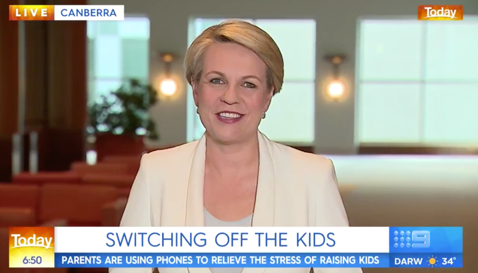 Tanya Plibersek appearing on The Today Show talking about restricting screen time for children.