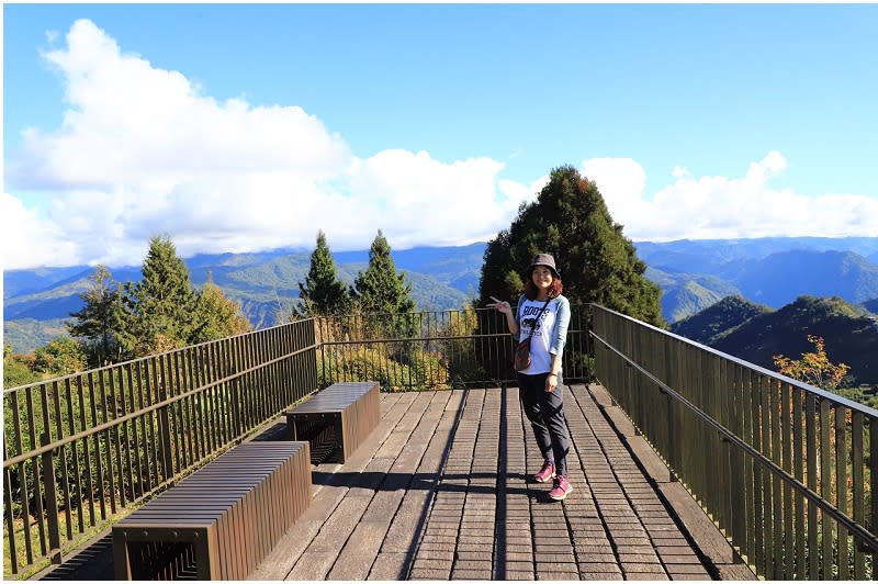 嘉義｜茶林山步道