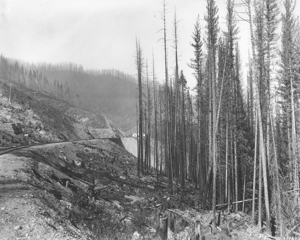 The aftermath of the 1910 fire near the North Fork of the St. Joe River in the Coeur d’Alene National Forest, Idaho. <a href="https://www.flickr.com/photos/fsnorthernregion/4929815653/in/album-72157624814120716/" rel="nofollow noopener" target="_blank" data-ylk="slk:R.H. McCoy/U.S. Forest Service archive;elm:context_link;itc:0;sec:content-canvas" class="link ">R.H. McCoy/U.S. Forest Service archive</a>, <a href="http://creativecommons.org/licenses/by/4.0/" rel="nofollow noopener" target="_blank" data-ylk="slk:CC BY;elm:context_link;itc:0;sec:content-canvas" class="link ">CC BY</a>