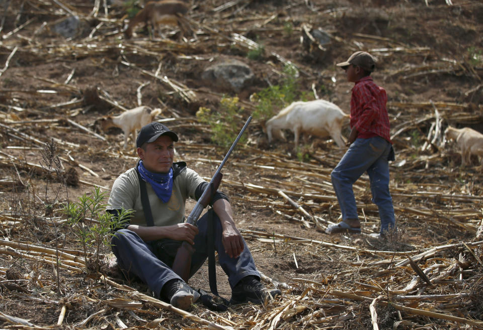 Community policeman Silvano Martinez guards his 11-year-old nephew Geovanni Martinez as he observes his goats in a pasture outside Ayahualtempa, a town in Guerrero state where residents provide security from the violence of rivaling gangs in Mexico, Wednesday, April 28, 2021. The 11-year-old said he yearns to return to school, closed for the past year by the pandemic, and when asked if he would shoot at an enemy he issued a convincing "Noo!" (AP Photo/Marco Ugarte)