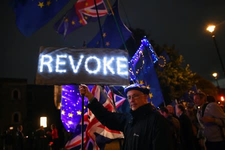 An anti-Brexit protester holds a placard outside the Houses of Parliament in London