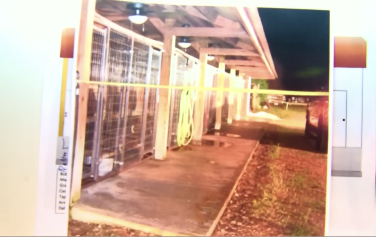 When shown a picture of the crime scene at the kennels, Roger Davis said he believed somebody had used the hose, because it was not placed the way he left it (FOX19)