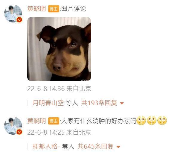 黃曉明PO了一張方臉的狗狗照片自嘲。（翻攝自黃曉明微博）